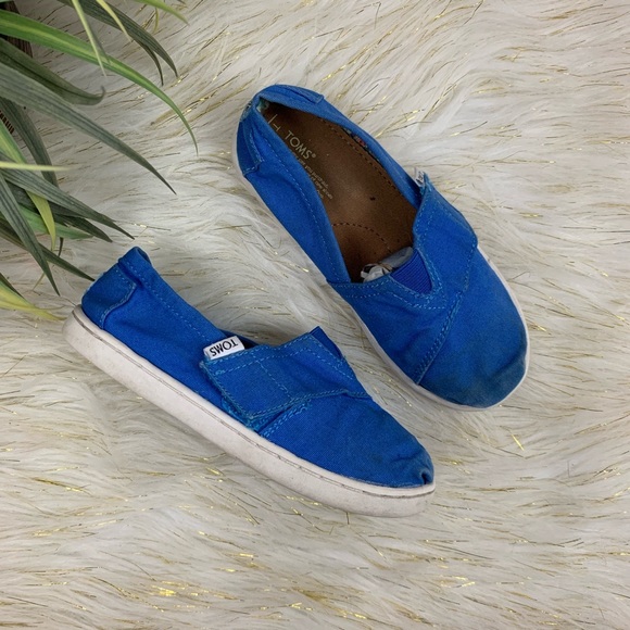 Toms Other - Toddler Girls Royal Blue Toms Size 11c
